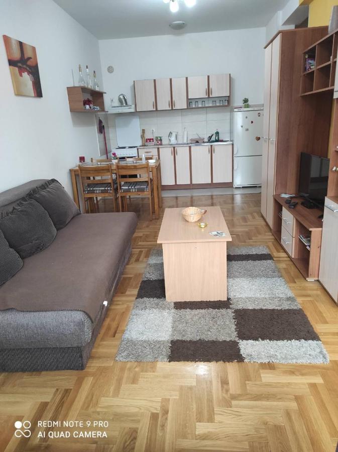 Apartman Marina Sa Garazom Nowy Sad Zewnętrze zdjęcie