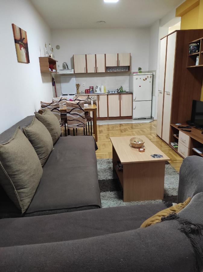 Apartman Marina Sa Garazom Nowy Sad Zewnętrze zdjęcie