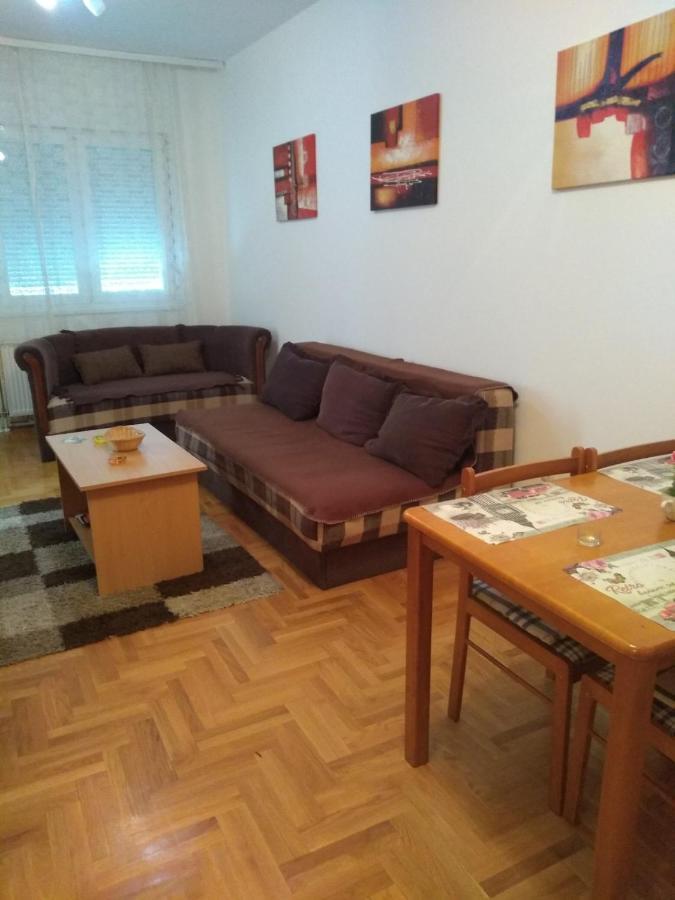 Apartman Marina Sa Garazom Nowy Sad Zewnętrze zdjęcie