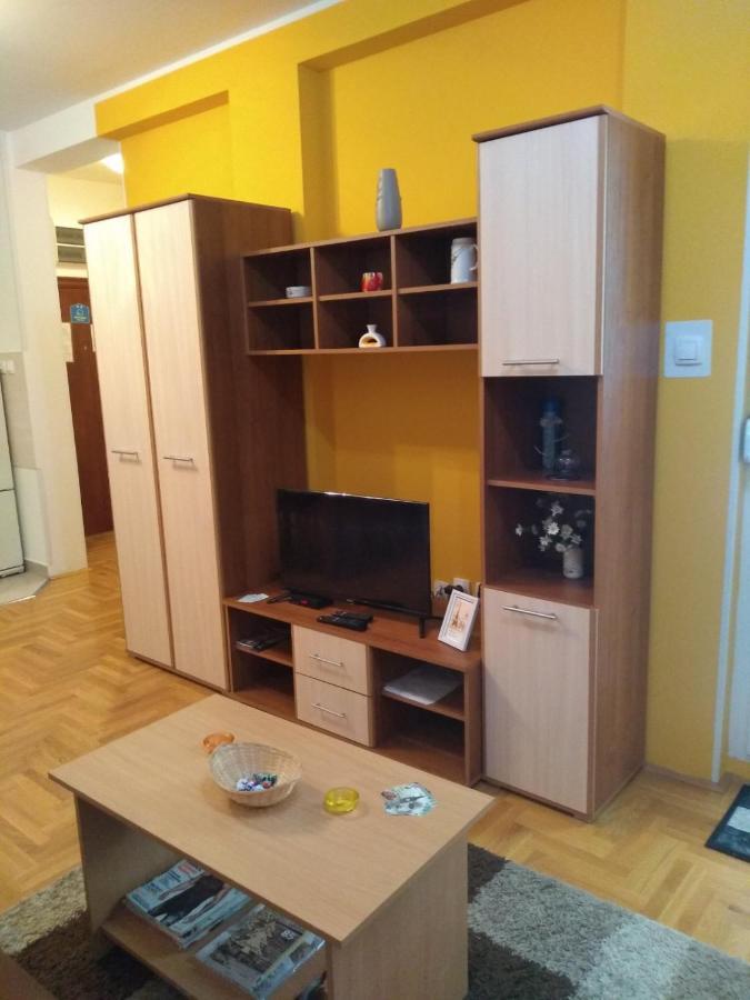 Apartman Marina Sa Garazom Nowy Sad Zewnętrze zdjęcie
